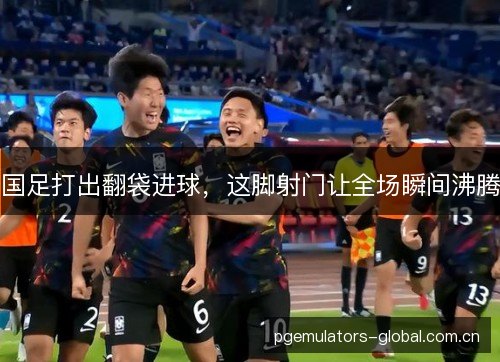 国足打出翻袋进球,这脚射门让全场瞬间沸腾 国足打出翻袋进球,这脚射门让全场瞬间沸腾
